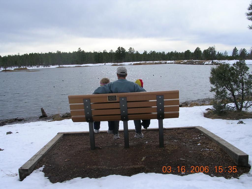 Adair Springs Cabin Pinetop-Lakeside Exterior photo