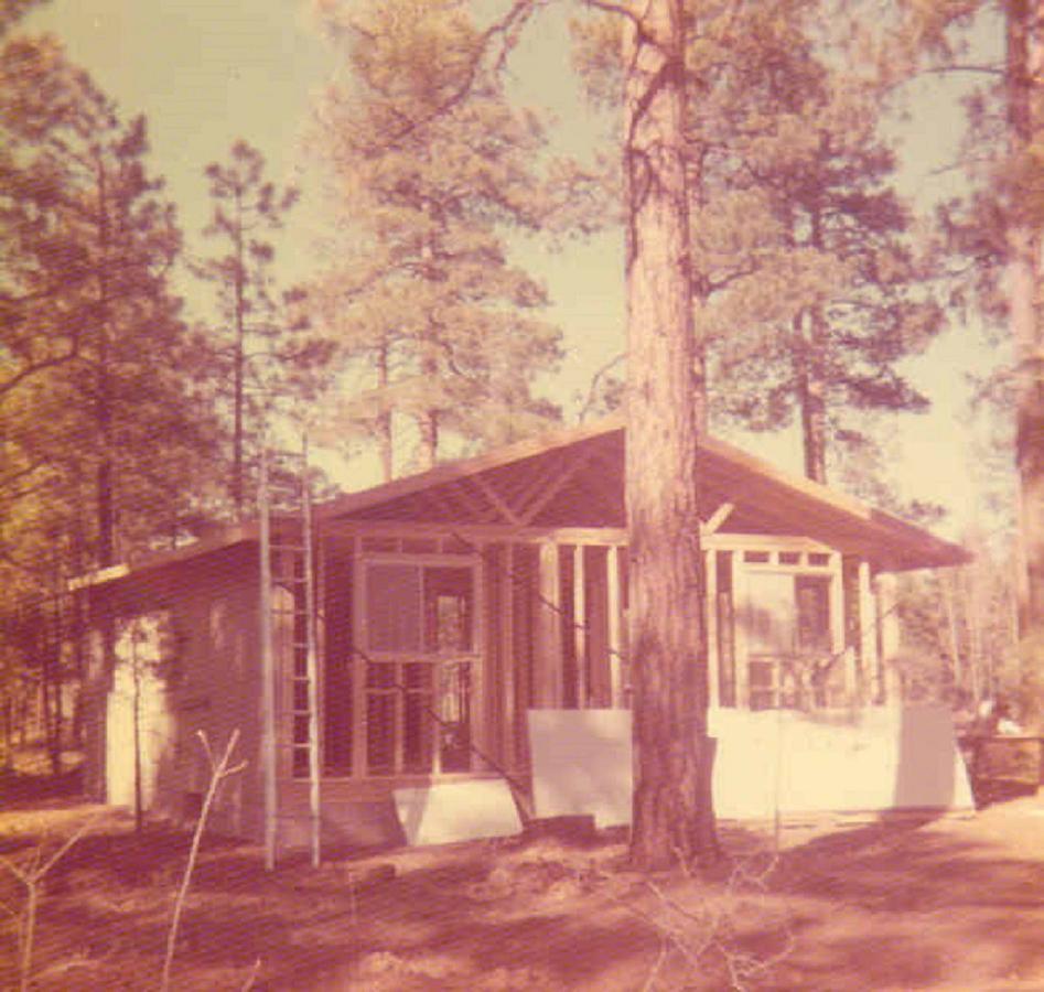 Adair Springs Cabin Pinetop-Lakeside Exterior photo